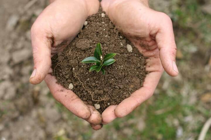 Preconception Health: Nourish The Soil Before You Plant The Seed