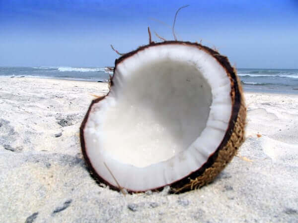 how to make coconut flour with fresh coconut