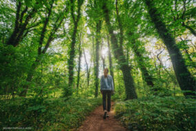 9 Benefits Of Forest Bathing & How To Do It