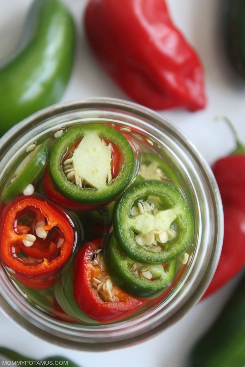 Close up view of jalapenos fermenting in a mason jar