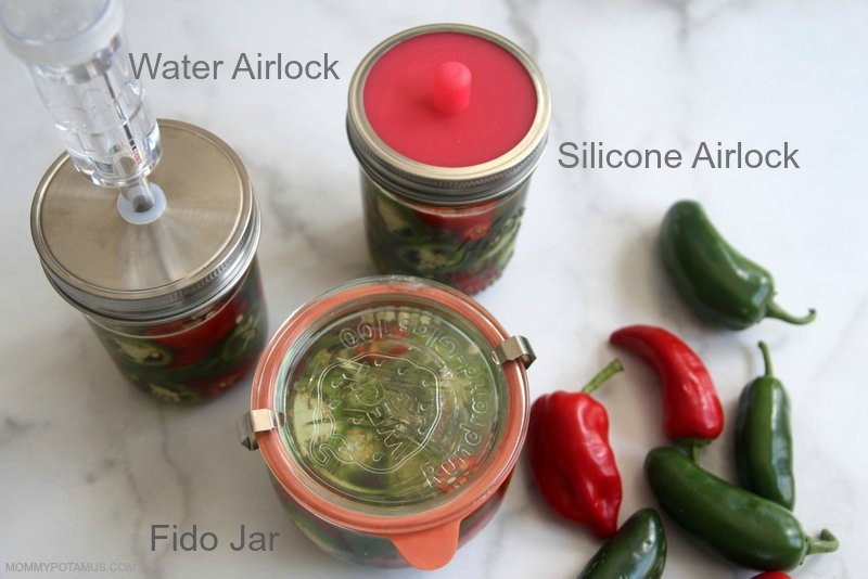 Homemade fermented jalapenos in different types of jars