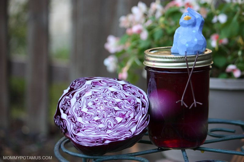 natural-easter-egg-dye-purple-cabbage