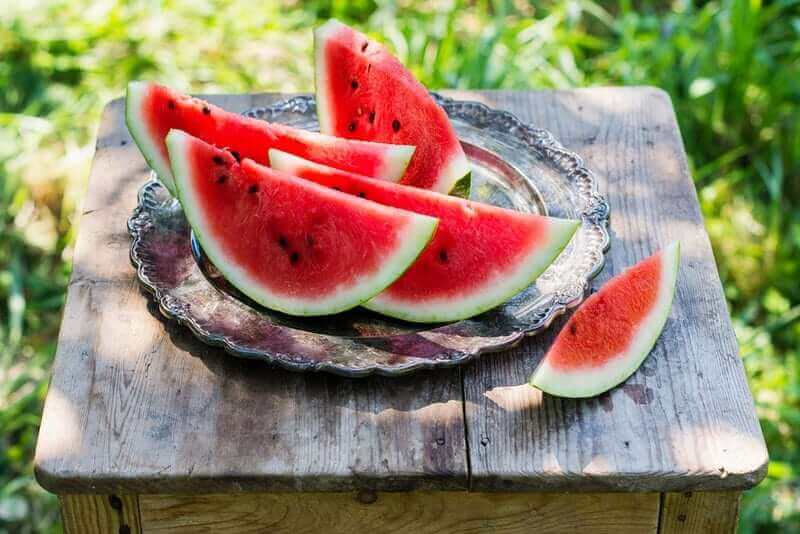 Watermelon Slices In The Garden. Picnic In The Garden