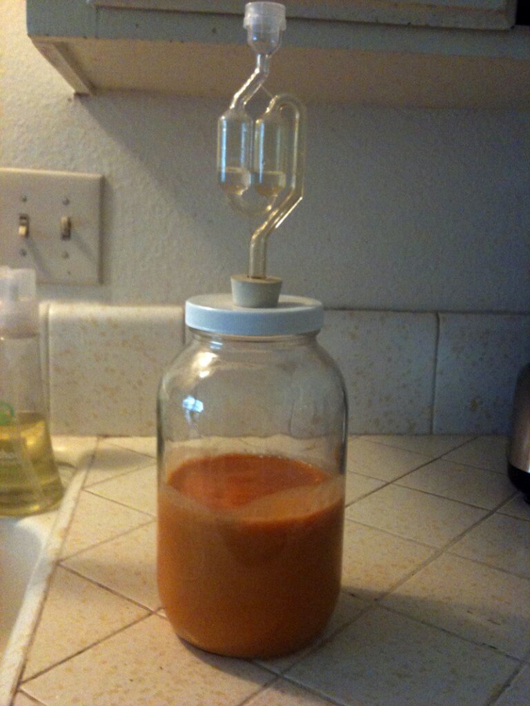 Cultured Apricot Fruit Leather