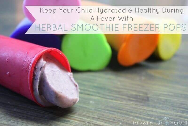 When kids get stomach bugs, preventing dehydration is top priority. Registered nurse and herbalist Meagan Visser shares how to make hydrating, immune supporting popsicles for fevers.