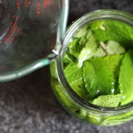 Mint Extract Recipe