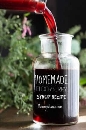 elderberry syrup