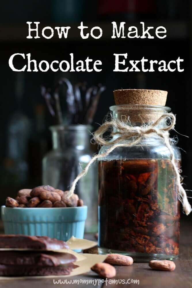 How To Make Chocolate Extract