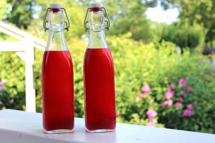 Lacto-Fermented Raspberry Soda Recipe