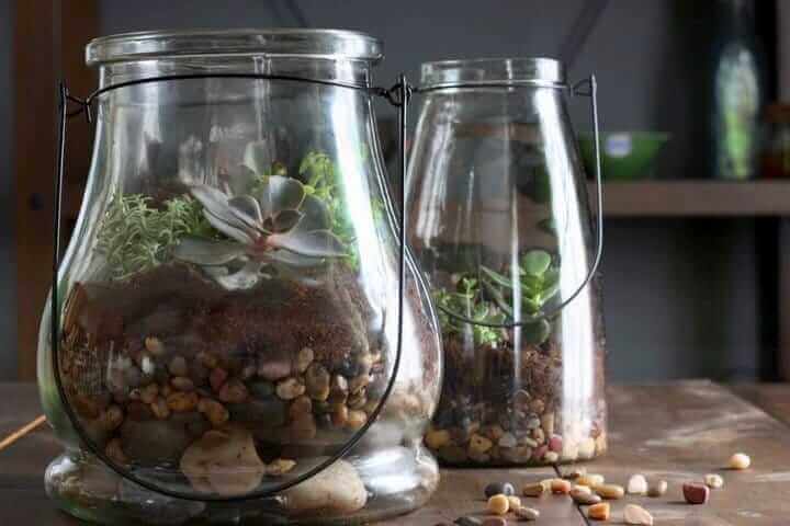 how-to-make-terrarium1