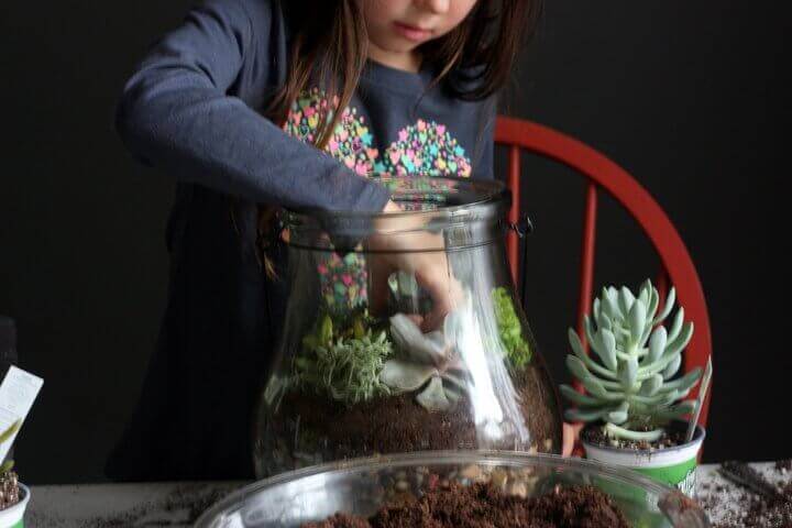 Easy D.I.Y Moss Terrarium — At Home With Savvy