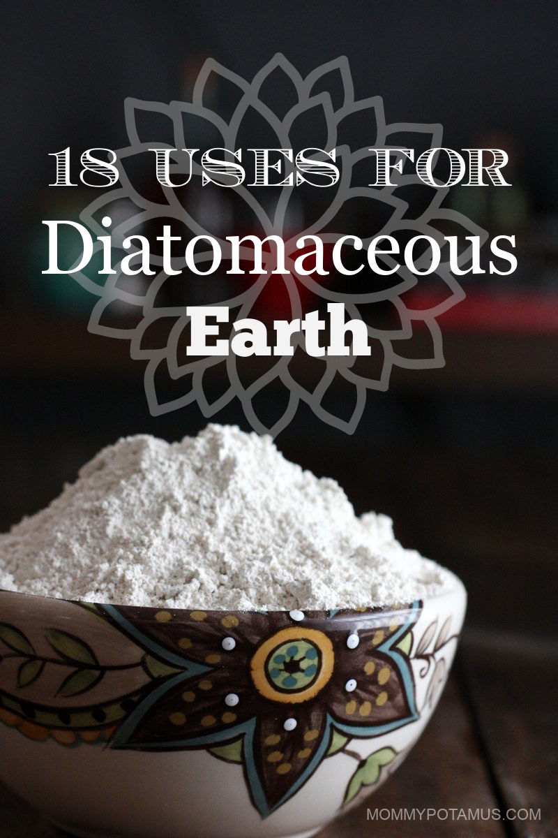 Sodium Bentonite Clay & Diatomaceous Earth Powder 4 oz - Internal/External  Use