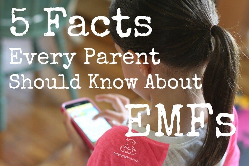 5-facts-about-emfs