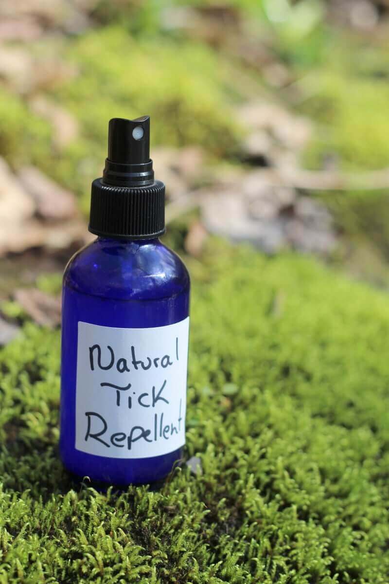 TICK SPRAY - Contains an essential oil that one study found to be comparable to DEET in repelling ticks. It's safe for kids over two and pregnant/nursing mamas.
