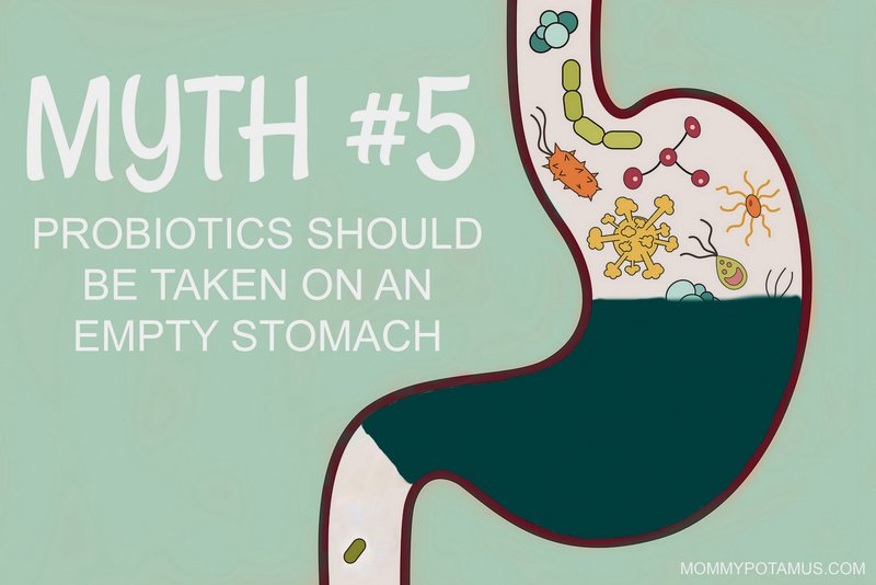 Drawing of probiotic bacteria entering stomach