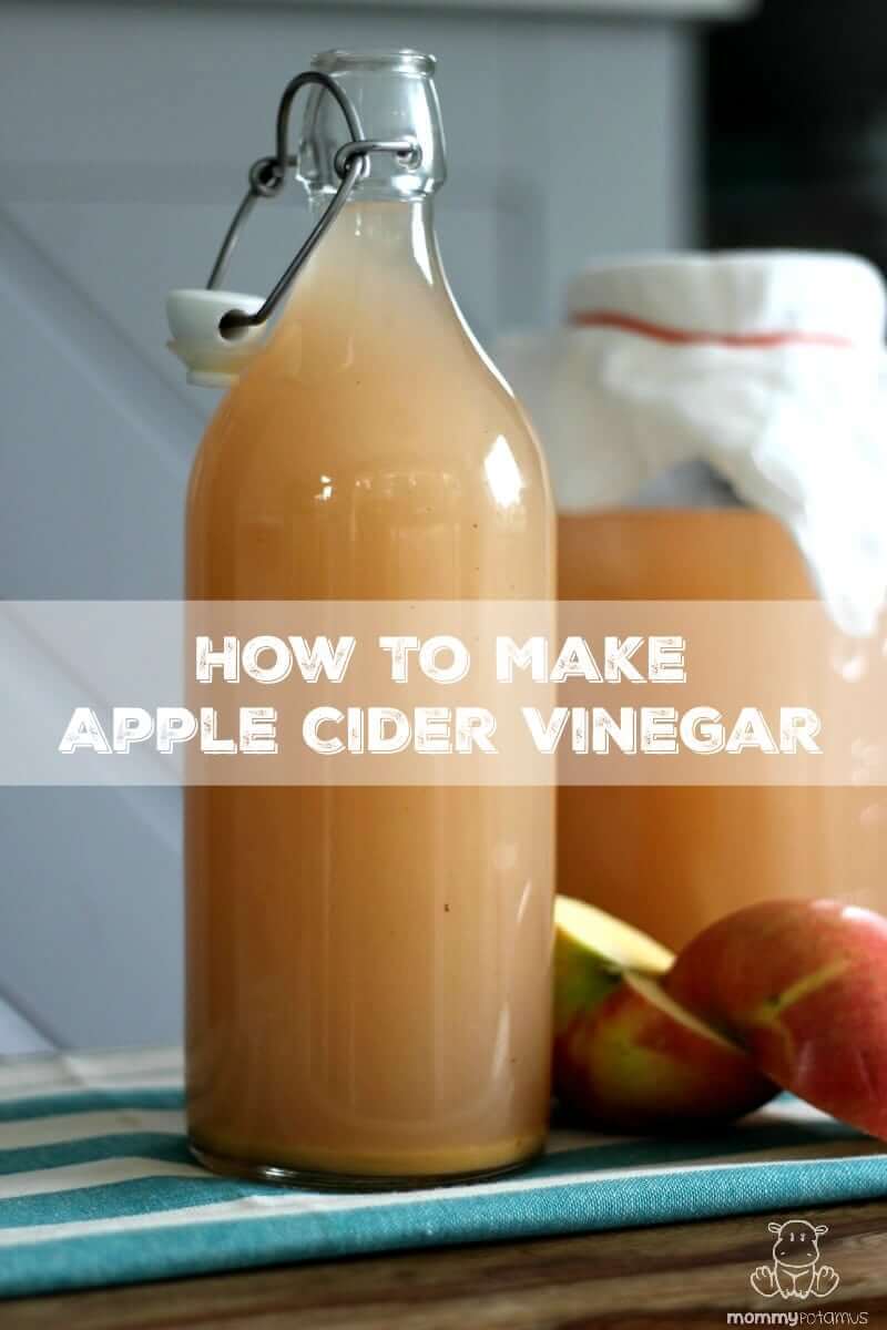 How To Make Apple Cider Vinegar - If you have apples, raw cane sugar, water and a little patience, you can make apple cider vinegar at home - no special skills needed!