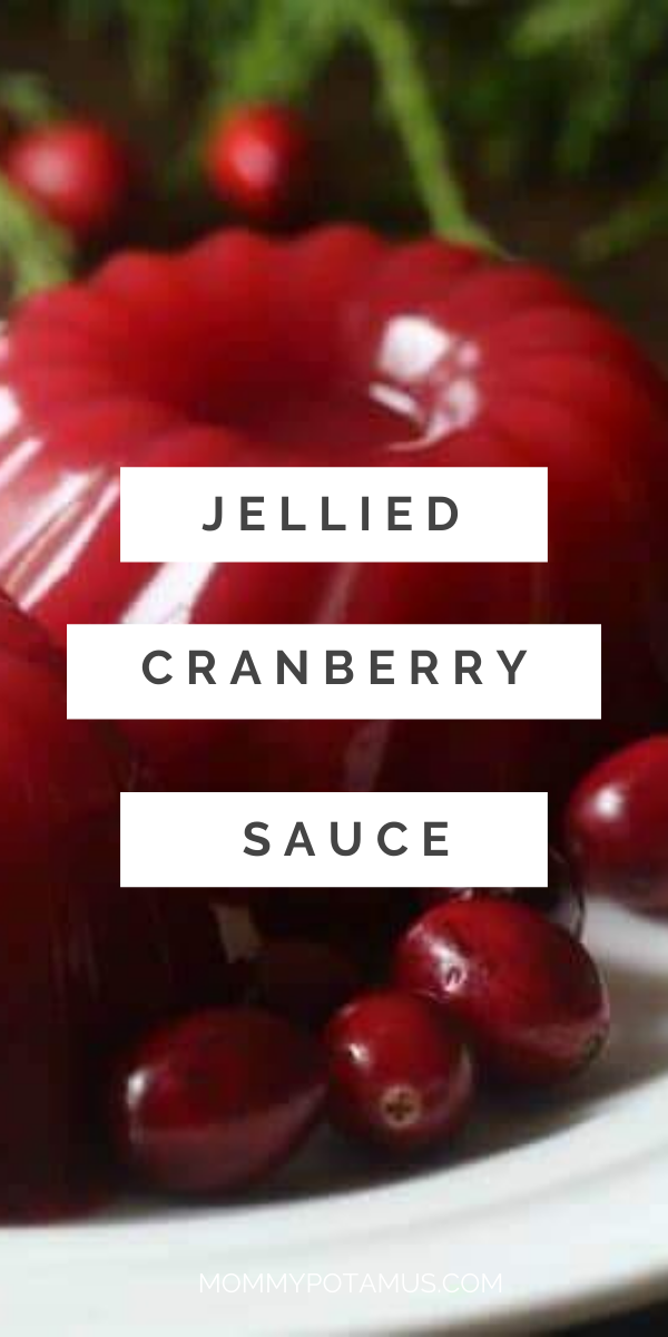 Jellied Cranberry Sauce Recipe Paleo & GAPS friendly