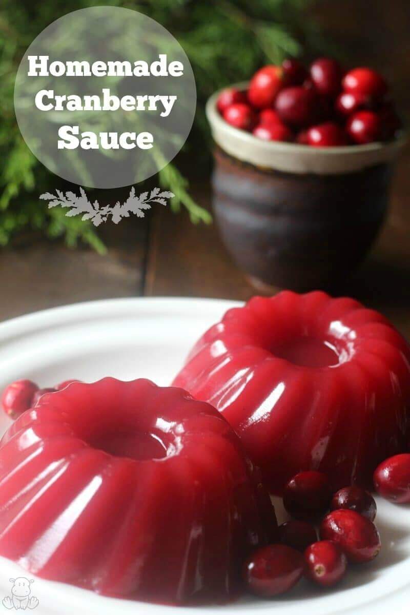 Jellied Cranberry Sauce Recipe - Paleo & GAPS friendly