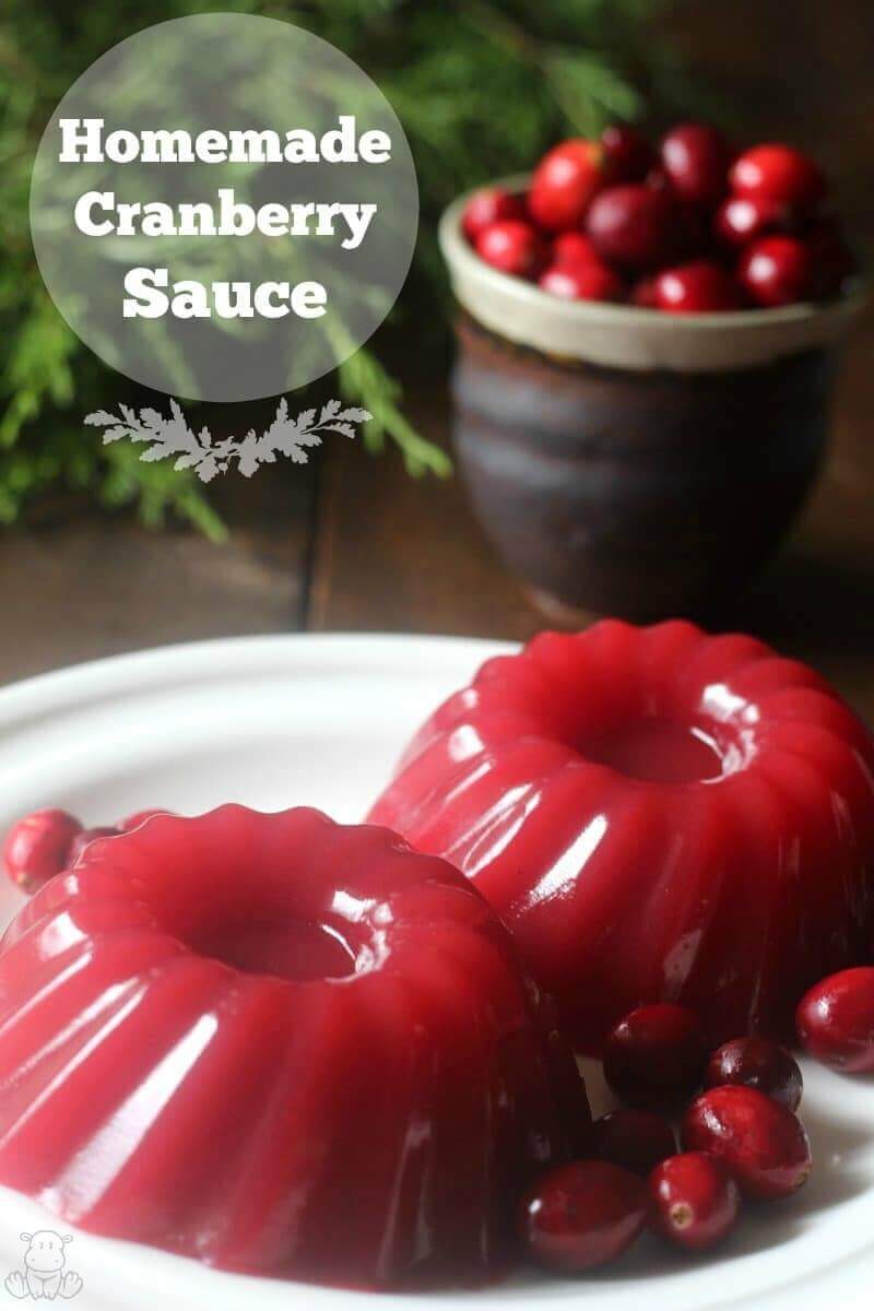 Jellied Cranberry Sauce Recipe Paleo & GAPS friendly