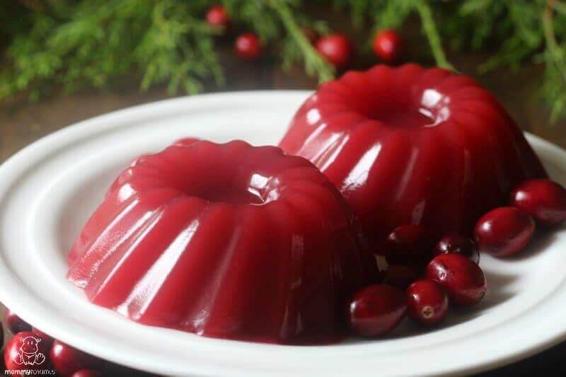 Jellied Cranberry Sauce Recipe (Paleo, GAPS) – MommypotamusMommypotamus