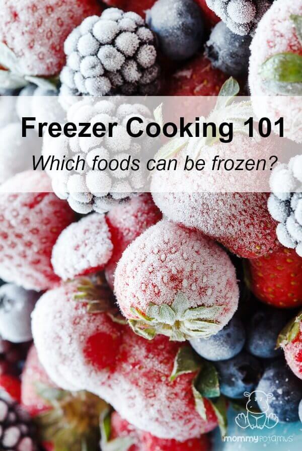 Freezer Cooking 101: Which foods can be frozen?