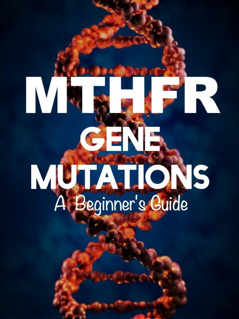 MTHFR Gene Mutations: A Beginner's Guide