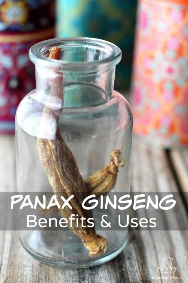 Panax Ginseng Benefits And Uses