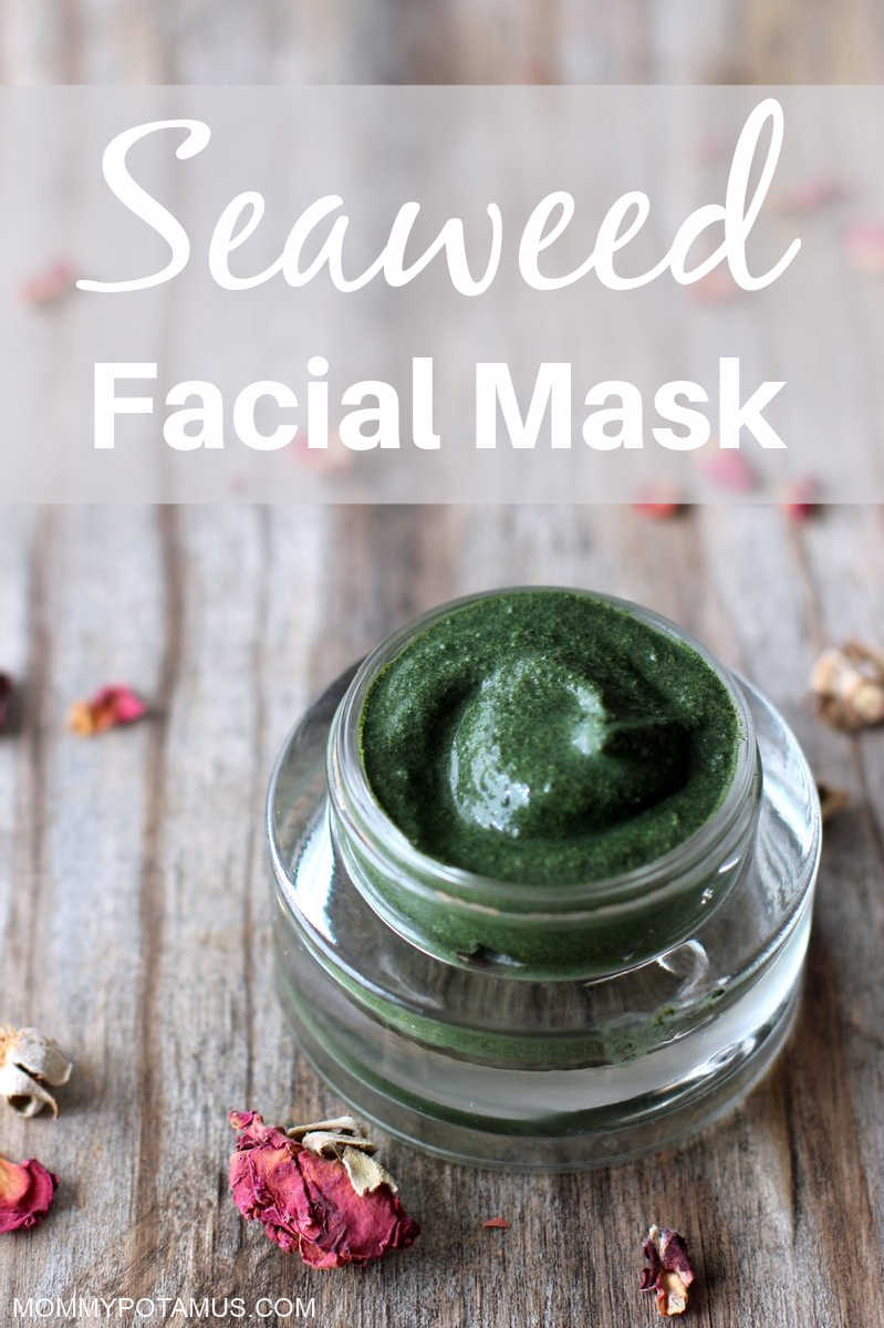 Overhead view of homemade seaweed mask