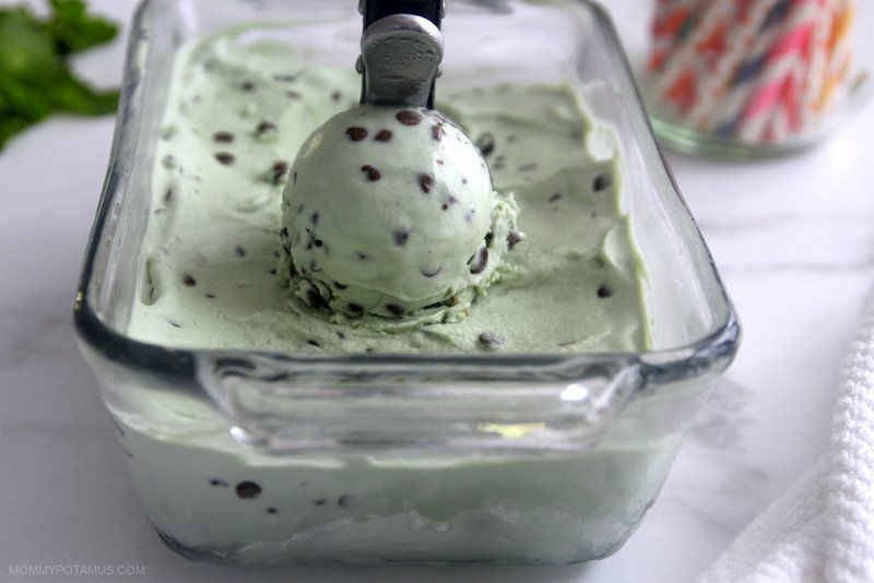 Homemade mint chocolate chip best sale ice cream