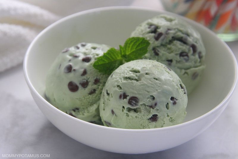 Mint Chocolate Chip Ice Cream Recipe 