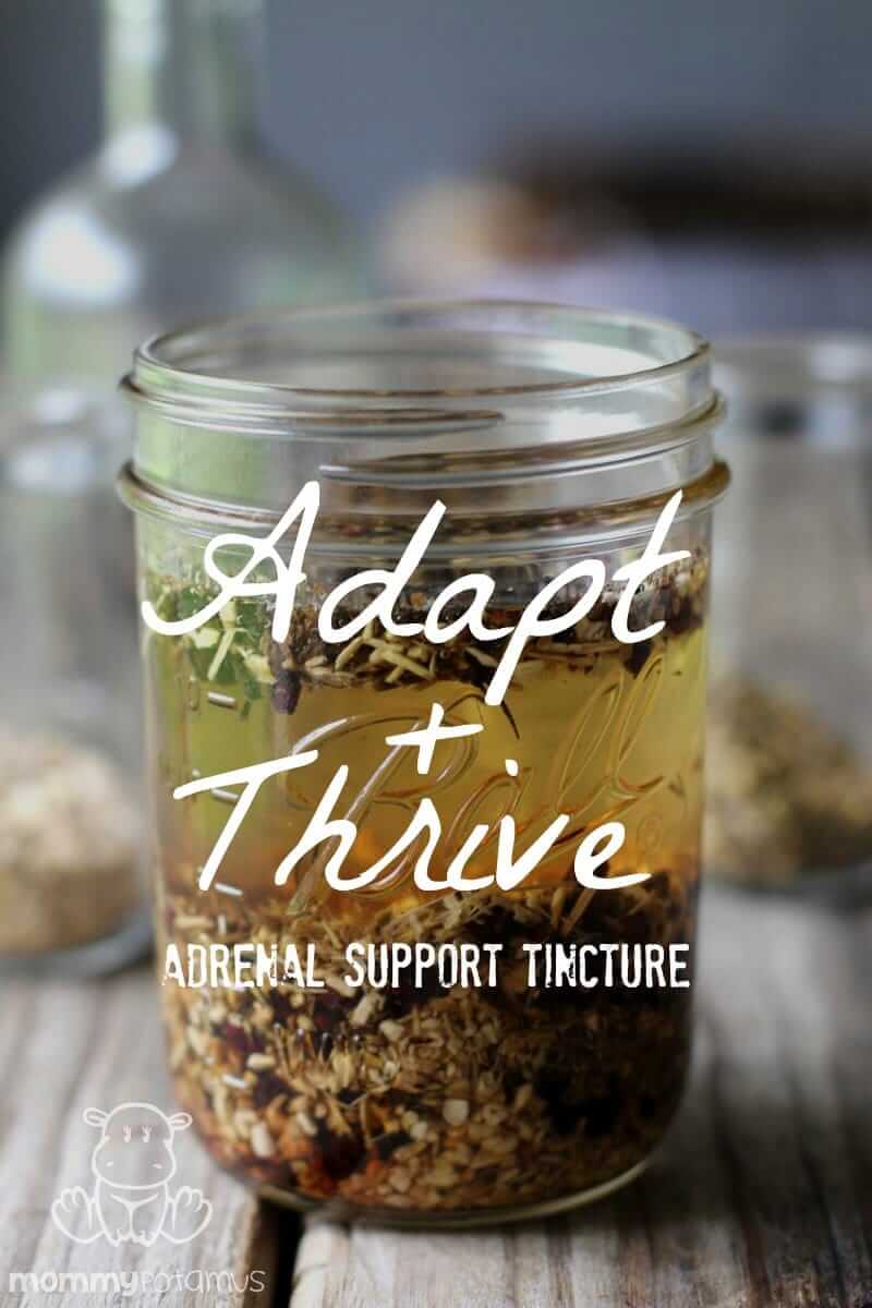 Adrenal Support Tincture Recipe - This tincture incorporates stress-busting adaptogens that have a nourishing, balancing effect on the body.