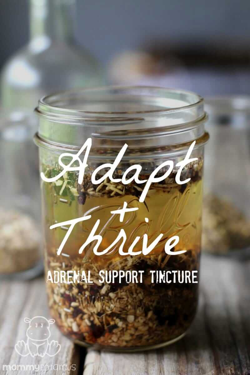 Adapt, Natural Adrenal Support