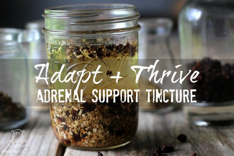 Adapt, Natural Adrenal Support