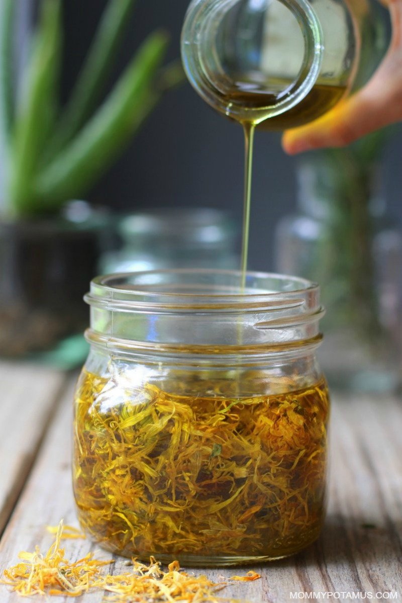 Calendula Oil Recipe - Calendula’s soothing properties make it a favorite for supporting wound healing, nourishing skin and promoting gut health. It's easy to grow or buy at an affordable price for use in teas, infused oils, salves, compresses and more. Here's a super easy method for making it into an infused oil, along with five ways to use it!