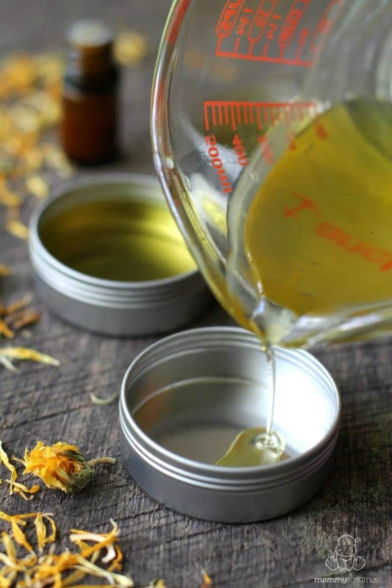 how-to-make-calendula-salve