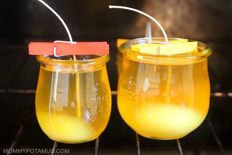 Two candle jars full of melted beeswax and wicks set aside to harden