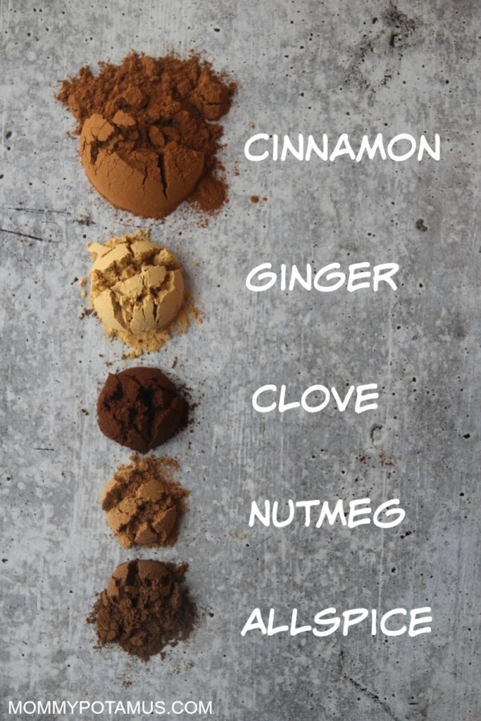 homemade pumpkin spice blend