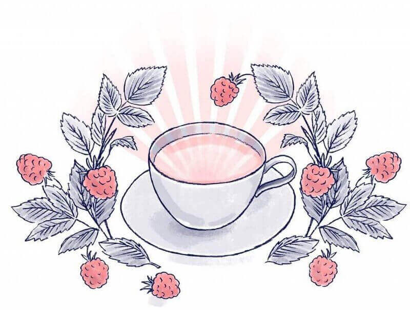Red Raspberry Leaf Tea - Illustration from The Mama Natural Week-by-Week Guide to Pregnancy & Childbirth