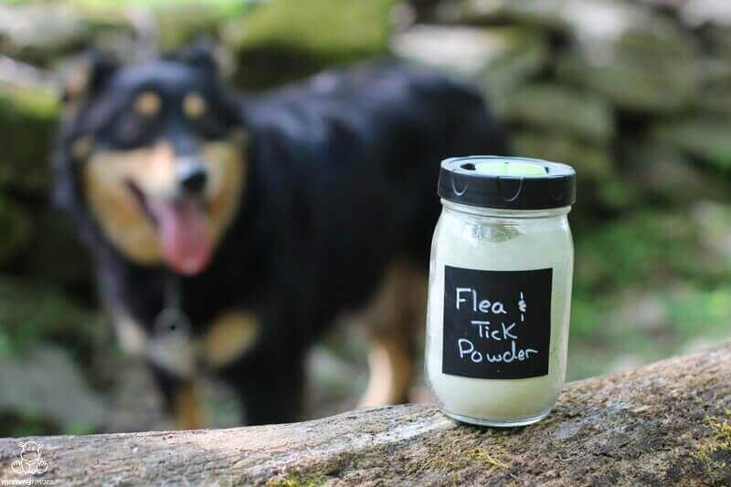 Natural flea clearance powder for dogs