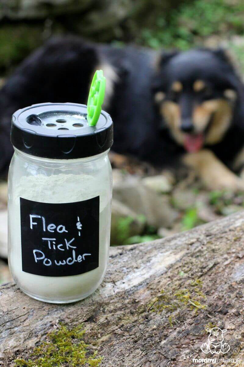 Homemade flea store and tick powder