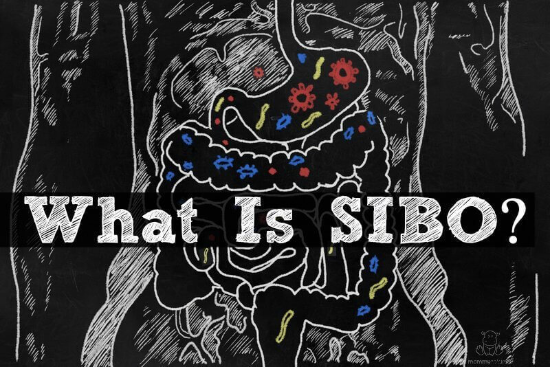 What is SIBO? Symptoms and Treatment