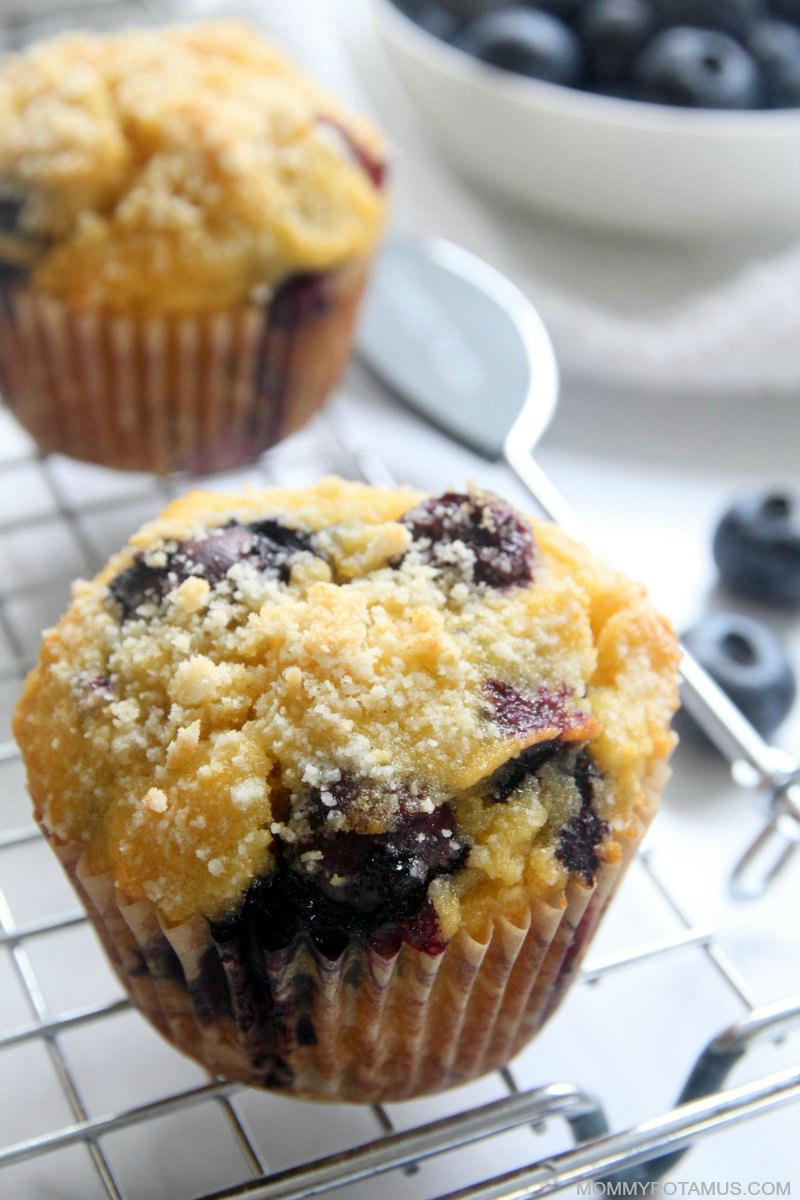 blueberry muffins paleo gluten free