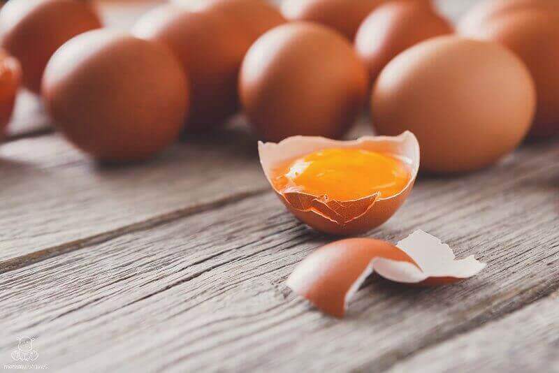 pregnancy diet protein eggs