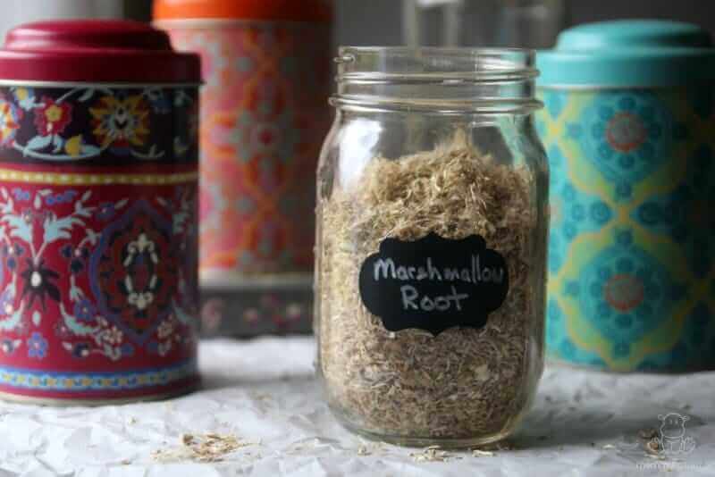 Marshmallow Root Uses And Benefits