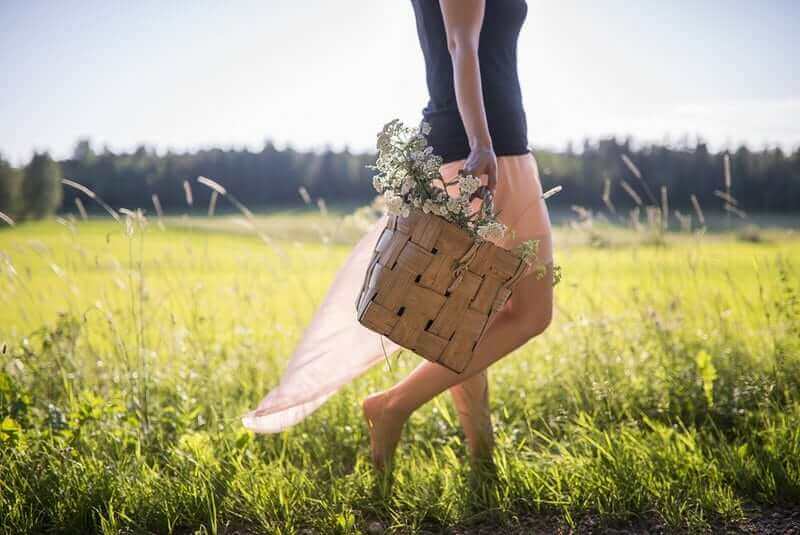 8 Benefits And Uses of Yarrow