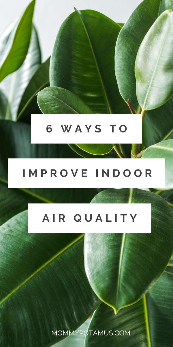 improve indoor air quality 1