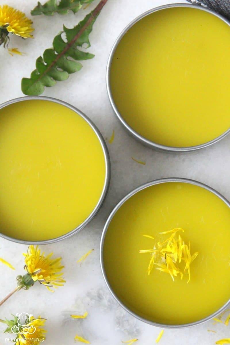 Dandelion Salve Recipe - Rich in anti-inflammatory antioxidants, polyphenols and flavonoids, this dandelion salve works beautifully as an all-purpose healing balm for cuts, scrapes, burns, bug bites, chapped skin and more.