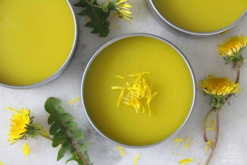 Homemade Dandelion Salve Recipe