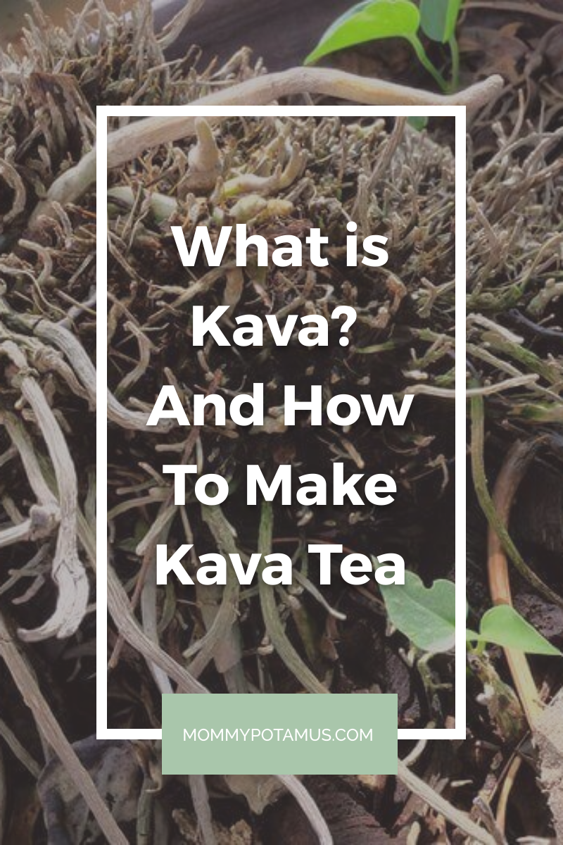 What is Kava? Benefits, Side Effects, and Safe Use