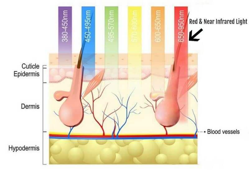 How Does Red Light Therapy Actually Work? - ºdegree Wellness